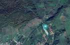 Teren fâneață lângă pădure - Hunedoara - 2