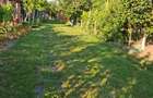 Teren intravilan zona Viile Satu Mare  - 8