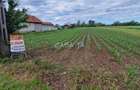 Teren Intravilan (7500 mp),situat in Balesti - Tamasesti - 2
