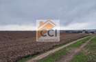 Teren 10,000mp Bacau / Strada Alexandru Safran - 11
