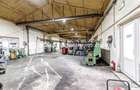 Hale depozitare/producție 2.000 mp si 10.000 mp teren în Pecica - 12