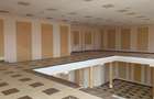 FOCSANI - Centru evenimente 450 MP- Central Bd. Brailei - 5