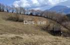 Teren 5000 mp, ideal cabana, pensiune,  in zona de interes  turistic  Rucar-Bran - 4