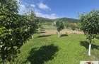 Teren intravilan (2292mp) de vanzare in Vintu de Jos - 6