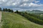 Teren inconjurat de natura de vanzare in Pestera - 3