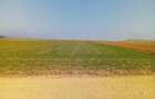 Teren de vanzare in Biharia, cu o suprafata de 20000 mp intravilan - 3