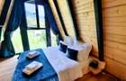 Teren 34,5 ari + cabana A-frame Colibita – ideal pentru resort, spa sau pensiune - 6