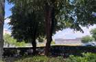 Apartament cu 2 camere de vânzare, str. Petre Ispirescu-AP1517 - 23