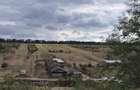 Teren în suprafață de 5ha, Comuna Bucovăț-Palilula - 1