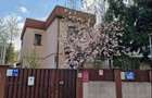 Vila individuala moderna, 5 camere, constructie 2014 - Parcul Circului - 2