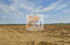 Teren intravilan– 50.000 mp, Bacău, Șoseaua Hol - 2