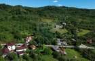 Casă de vânzare in natura la tara - Mihaesti - 9