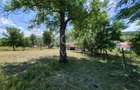 Casa individuala cu teren generos – 8.356 mp – Tichindeal, jud. Sibiu - 47