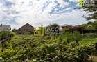 Casa P+1, str. Agudului, zona Sud a mun. Bacau - 20