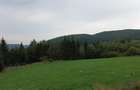 TEREN PREMIUM 5.023 MP ÎN VORONEȚ | BUCOVINA | ZONA MĂNĂSTIR - 12