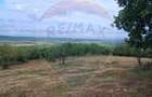 Teren 5,700mp Somcuta Mare / investitie cu potential major - 13
