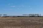 Teren de 19.000 mp de vanzare in Ștefanestii de Jos - ideal pentru hale. - 2