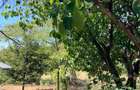 CASA INDIVIDUALA CU TEREN IN SUPRAFATA DE 1.575 MP