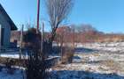 Ocazie! Visan TEREN 1616mp intravilan lot pt constructie casa - 5