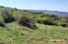 Teren intravilan Valea Domneasca,  localitatea Ghioroc - 3