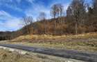 Vanzare teren 3200 mp, Cheile Rasnoavei, str. Cheisoara - 1