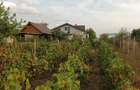Moara Vlasiei , Casa cu teren 4250 m2 - 4