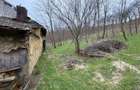 Teren 2.038 mp + Casă 50 mp de vânzare – Sat Luncsoru, Com. Ghercești - 11