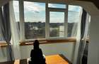 Apartament proaspăt renovat cu vedere spectaculoasă la lacul Tinretului - 14