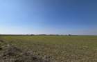 Teren intravilan 500 mp in Corbu, ideal pentru investitie - 2