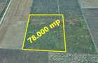 Teren Extravilan 78.000 mp Centura Noua FOCSANI - 3