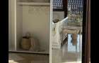 Apartament 2 camere Baneasa cu centrala langa Mall - 14
