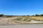 TEREN INTRAVILAN 10.000 MP, BUCIUM PĂUN, P+2E, PANORAMĂ IAȘI, 25 EURO/MP - 7