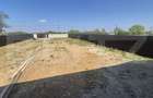 Casa 3 camere de vanzare, 120 mp, teren 950 mp, Balta Blonda - 18