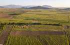 Teren extravilan 44.000 mp (4,4 ha) | Hărman | Comision 0% - 4