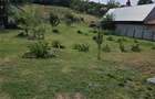 Teren intravilan + extravilan 10.537 mp – casa, livada sau ferma de familie - 13