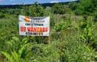 🌳 🌞🌿 TEREN INTRAVILAN  2800 mp - 30 Euro/mp  - RATE LA  NOTARIAT  ! 🌳🌞🌿 - 3