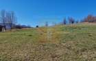 Teren intravilan de 4.000 mp în Bistrița – Alexandru cel Bun - 24
