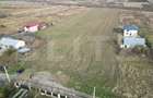 Teren, 5400 mp, Ciurea - 3