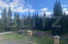 Vânzare pensiune/hotel  într-o zonă superbă din Poiana Negrii - 16
