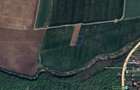 Teren intravilan Snagov / Tancabesti / 3.293 mp / D: 36.57 m / comision 0% - 3