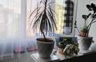 VÂNZARE APARTAMENT 3 CAMERE – DRUMUL TABEREI - 5