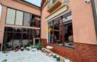 Vila, 6 Camere, 365 mp, 4 bai, Andrei Muresanu, Constantin Brancusi - 29