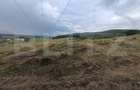 Teren 3.600 mp, ideal pentru livadă, cabană sau investiție în Podu Olt - 4
