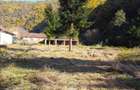 Teren intravilan ideal si de investitie, in Loc. Resita, strada Ciresului - 4