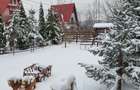 Vila de vanzare Valea Doftanei- Brebu - Campina - 10