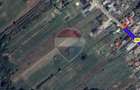 Teren intravilan 8.774 mp cu deschidere la pădure / Măres, Albota - 4