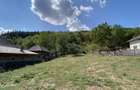 Teren 4000 mp intravilan loc. Aninoasa, jud Arges. Comision 0% - 1