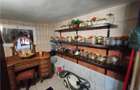 Royal Imobiliare -vanzari vile zona Ultracentral - 34