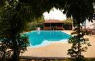 Refugiu toscan la marginea pădurii din Corbeanca, piscină și teren generos - 2
