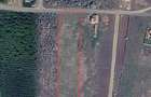 TEREN INTRAVILAN | 5997 MP | 35 ML FRONT STRADAL | ZONA IZVORULUI | SALDABAGIU D - 1